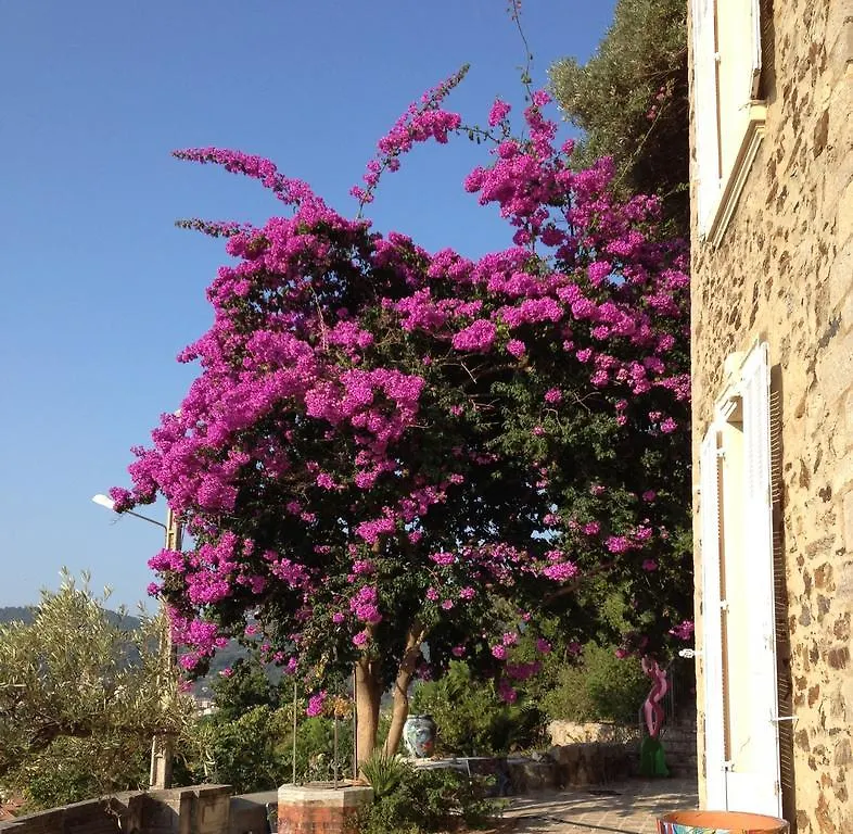 Hotel Castel Pierre Lisse à Hyères Maison d'hôtes